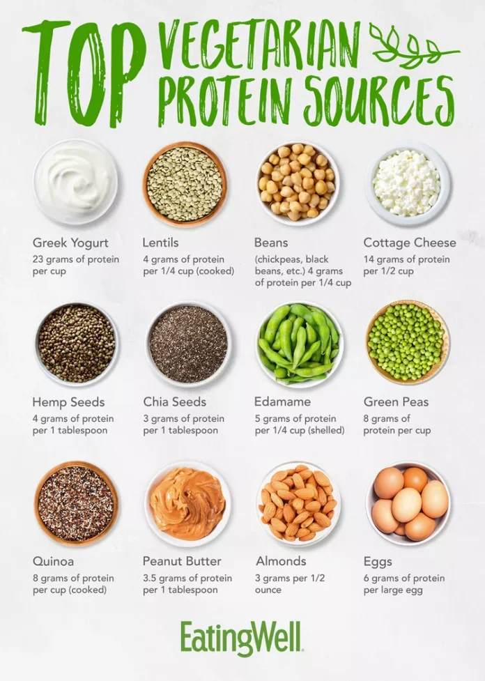 Top Vegetarian Protein Sources Top Vegetarian Protein Sourcesq